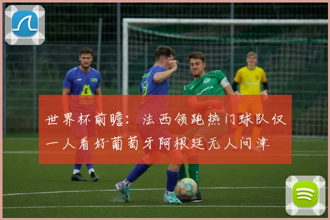 世界杯前瞻：法西领跑热门球队仅一人看好葡萄牙阿根廷无人问津