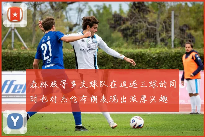 森林狼等多支球队在追逐三球的同时也对杰伦布朗表现出浓厚兴趣