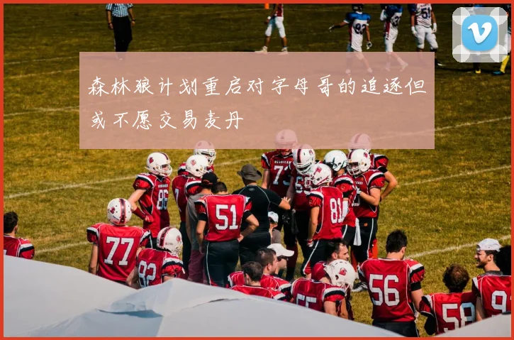 森林狼计划重启对字母哥的追逐但或不愿交易麦丹