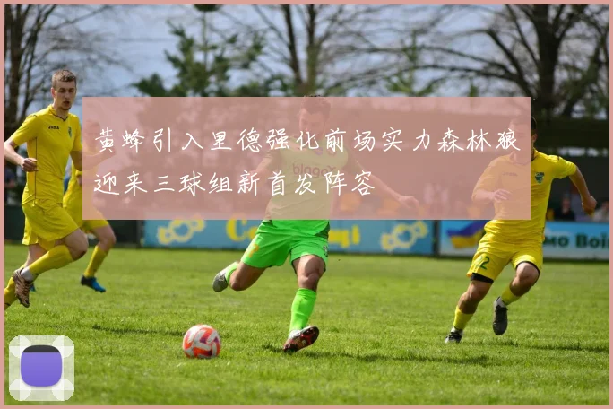 黄蜂引入里德强化前场实力森林狼迎来三球组新首发阵容