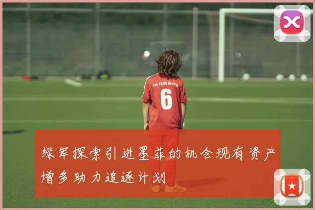 绿军探索引进墨菲的机会现有资产增多助力追逐计划